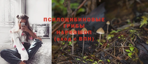 ПСИЛОЦИБИНОВЫЕ ГРИБЫ Арсеньев