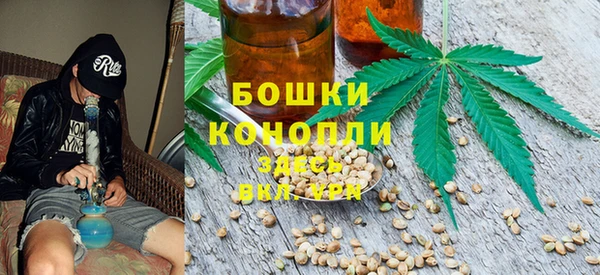 ПСИЛОЦИБИНОВЫЕ ГРИБЫ Арсеньев