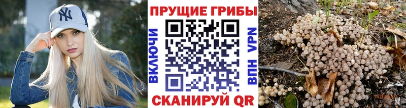 Галлюциногенные грибы мухоморы  Удомля 